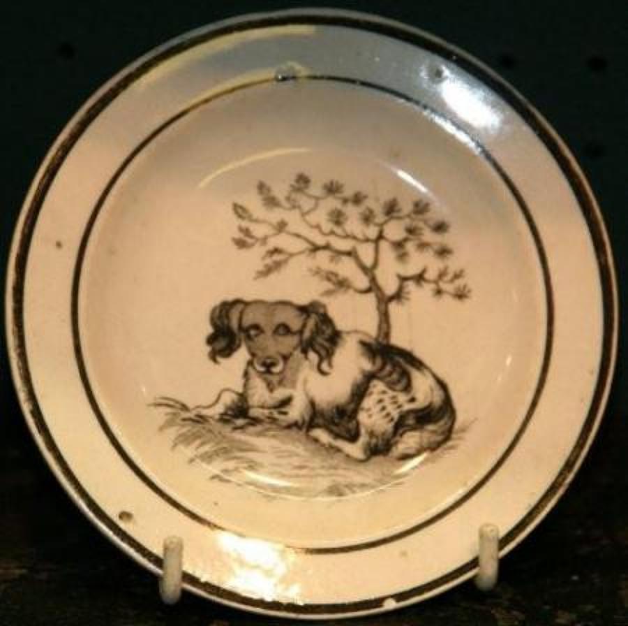 Dog print Childs Plate