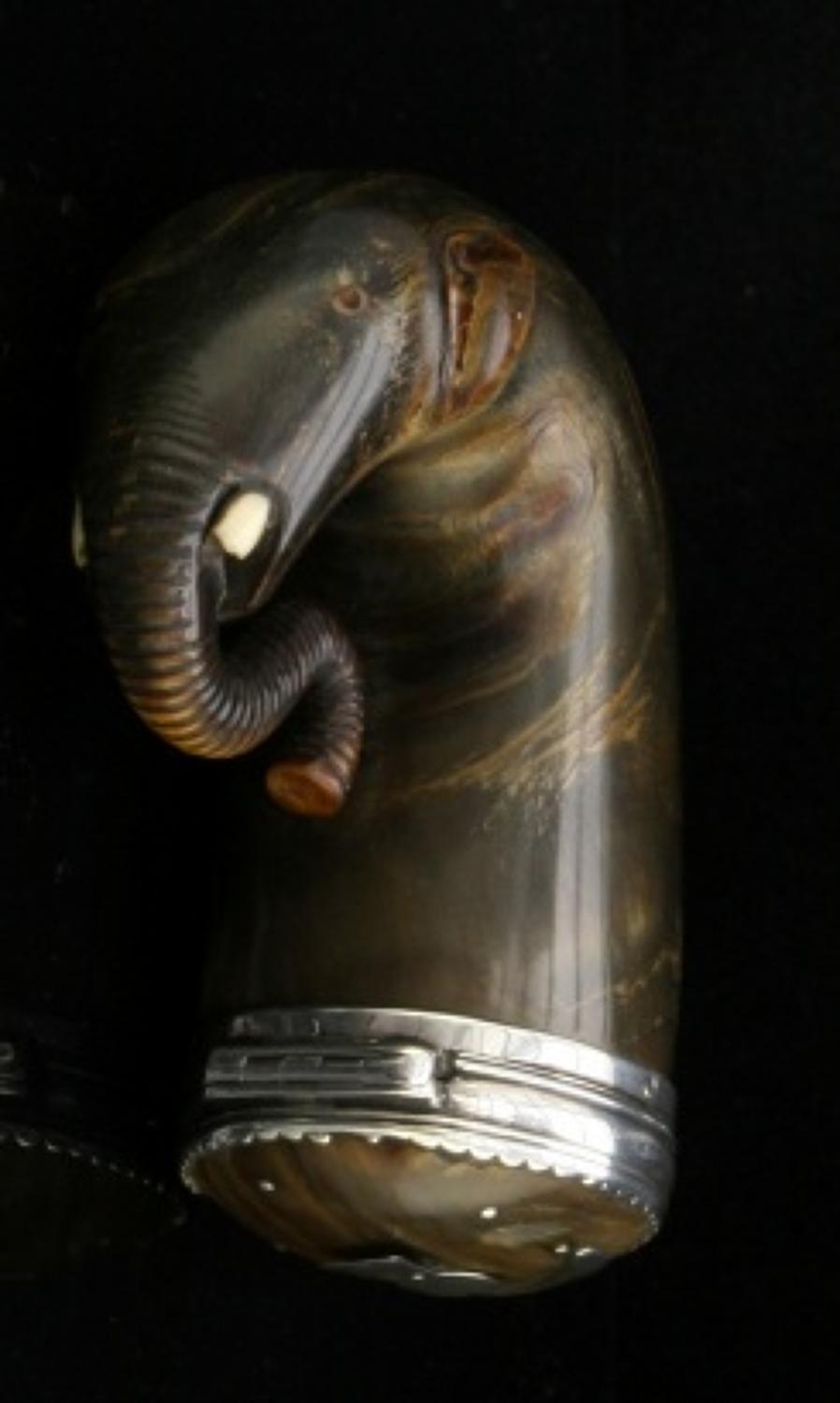 Scottish Horn snuff mull, in elephant form