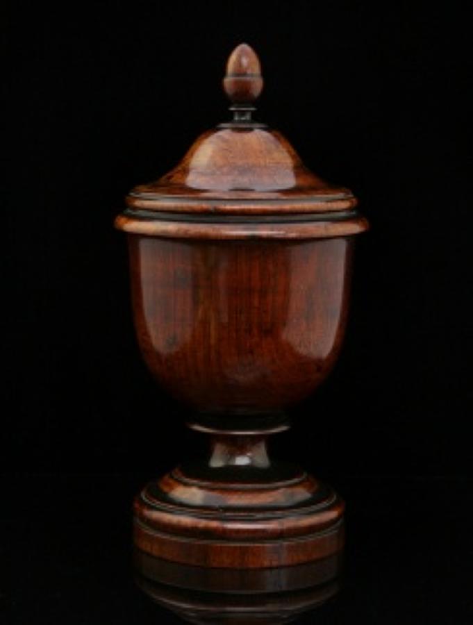 Rosewood Urn, caddy, English. c.1820