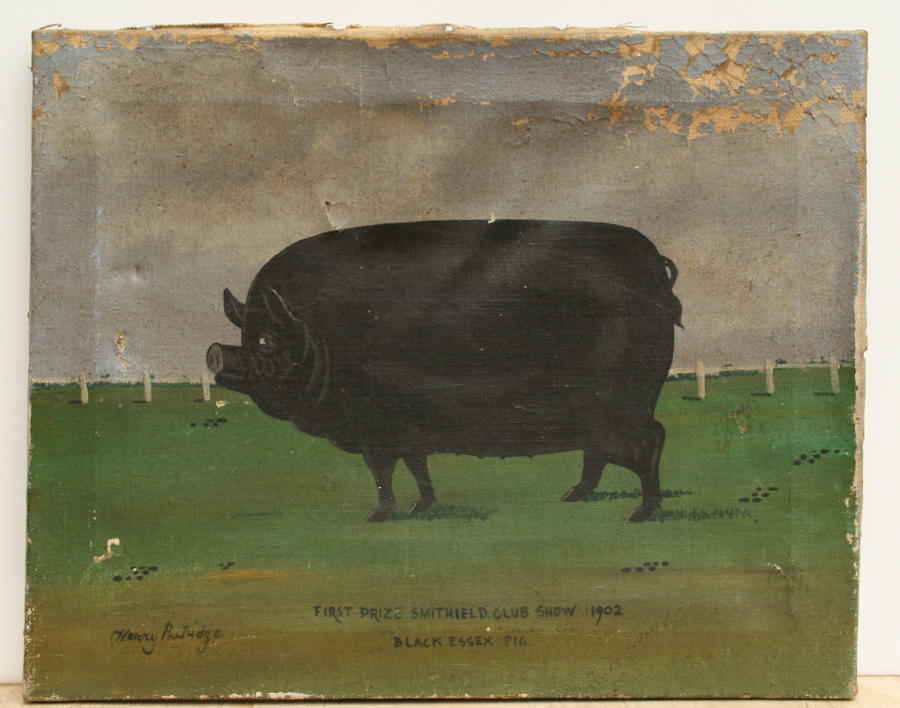 Naive oil painting of a Pig, dated 1902.
