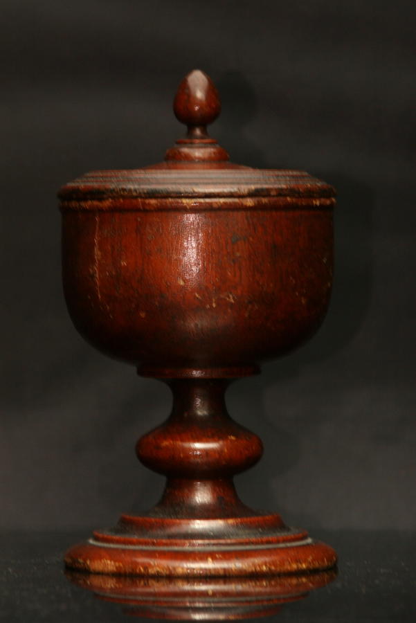 English 19th century Treen lidded salt or spice pot