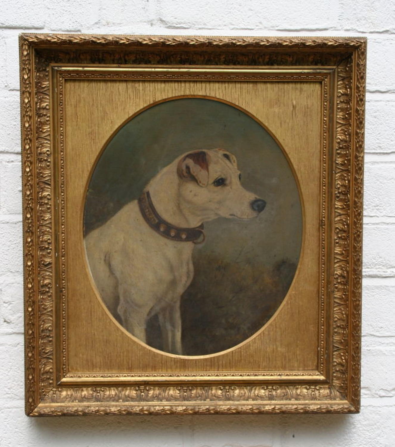Dog Portrait, 19th century, Jack Russell ?