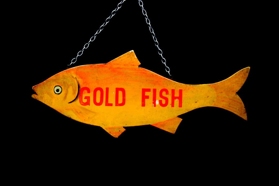 Fun Fair Painted Wooden Fish shaped "Gold Fish" sign