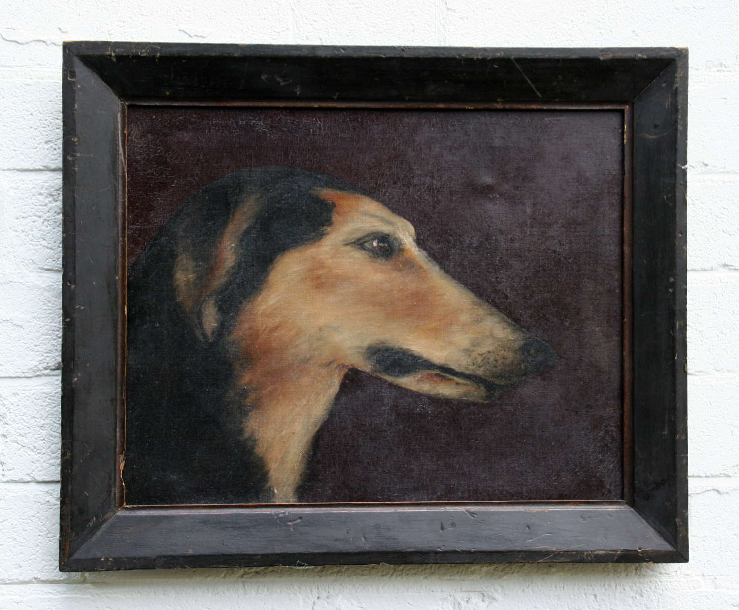 Saluki Dog Portrait 19th century