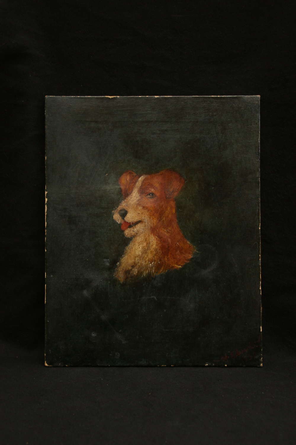 Terrier Portrait, oil, late 19th / early 20th.
