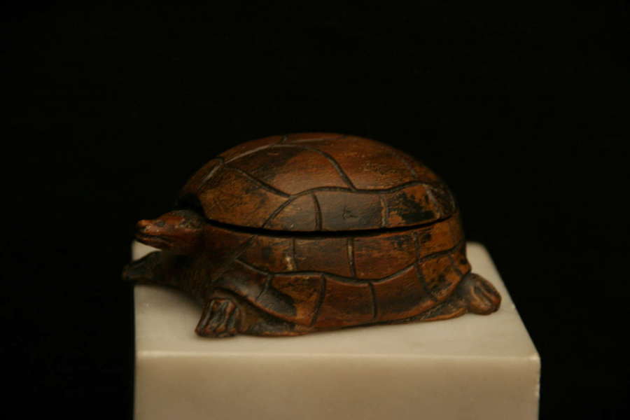Treen Tortoise form Stamp Box, 19th century