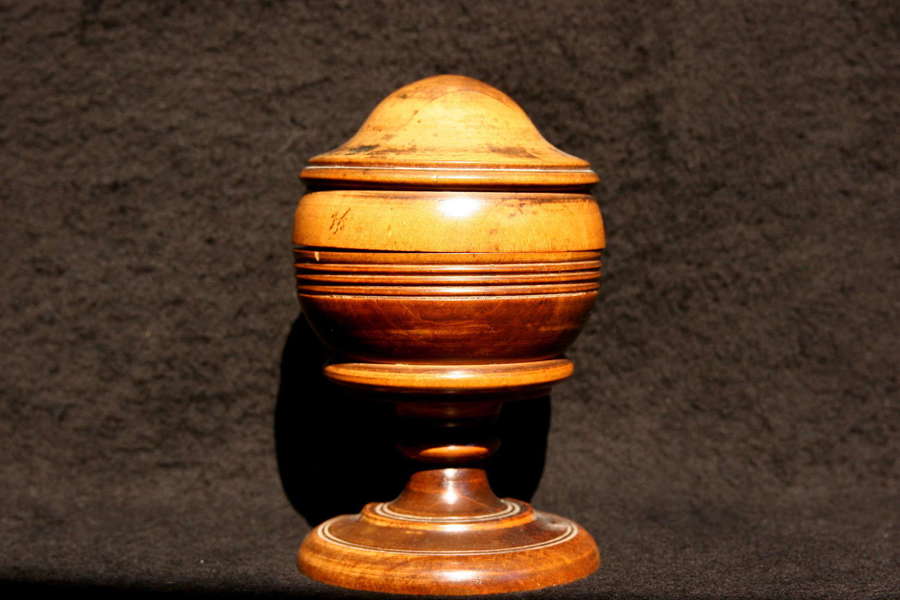 19th Century Treen Spice Pot